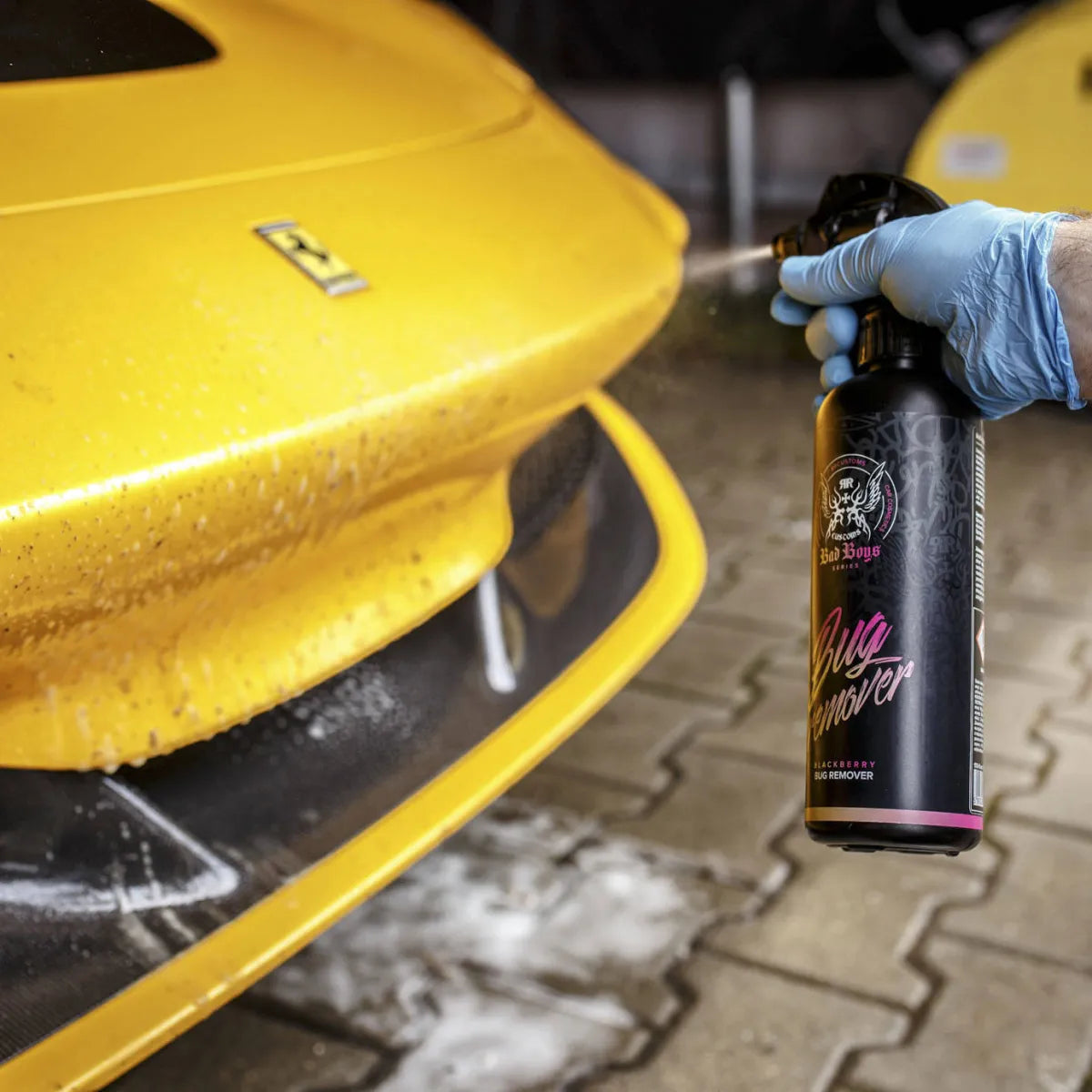 BadBoys Bug Remover