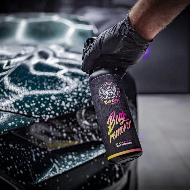 BadBoys Bug Remover